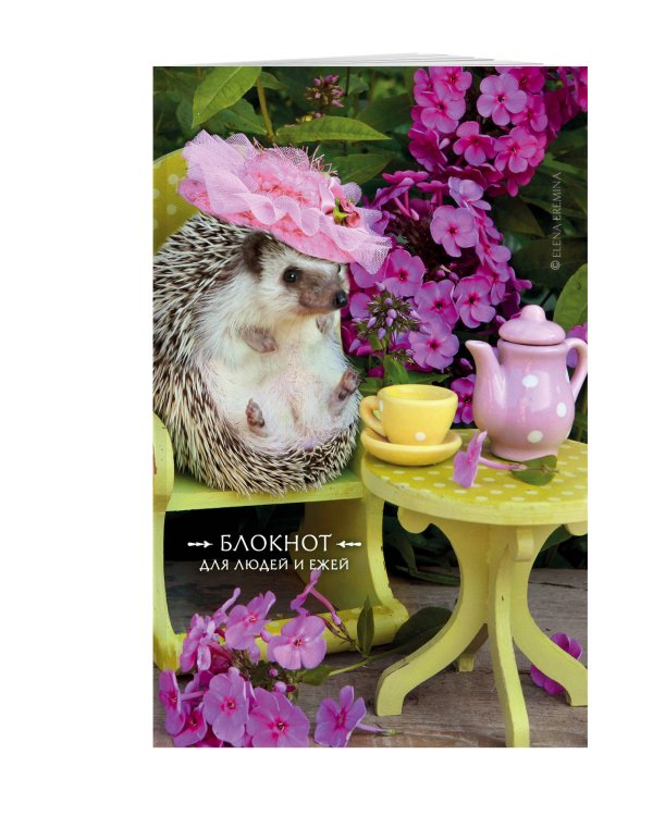Блокнот для людей и ежей (чаепитие). 115х180мм, мягкая обложка, 64стр.