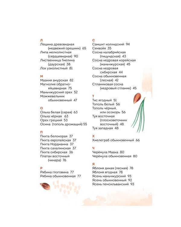Деревья. Атлас-определитель