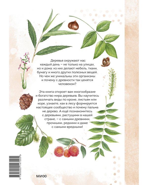 Деревья. Атлас-определитель
