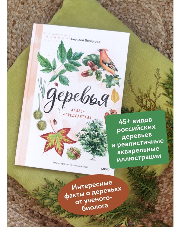 Деревья. Атлас-определитель