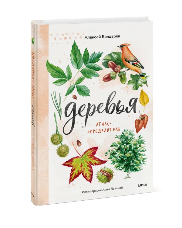 Деревья. Атлас-определитель