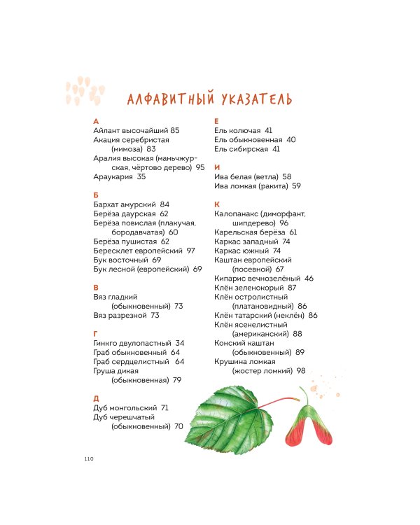 Деревья. Атлас-определитель