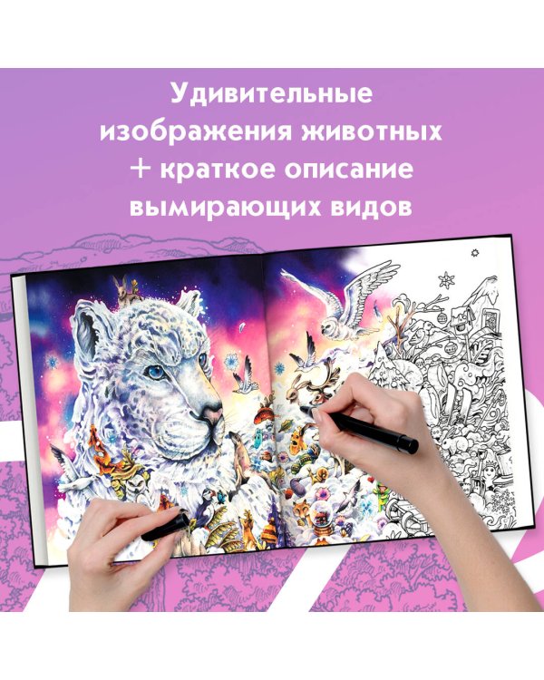 Хрупкий мир. Экстремальные раскраски