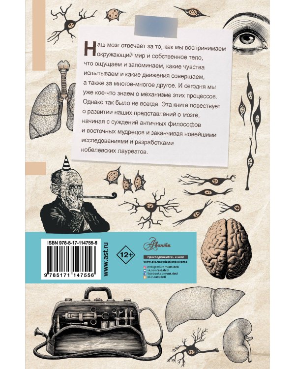 Мозг. От древних мифов к нейробиологии
