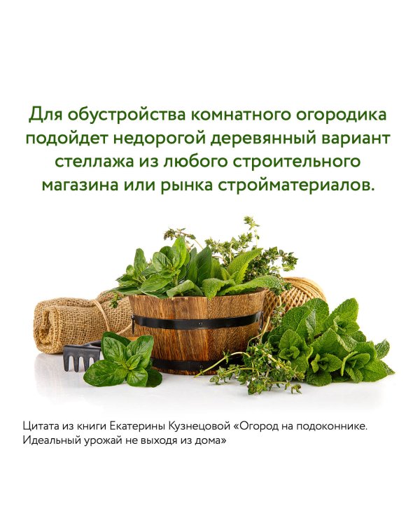 Огород на подоконнике. Идеальный урожай не выходя из дома