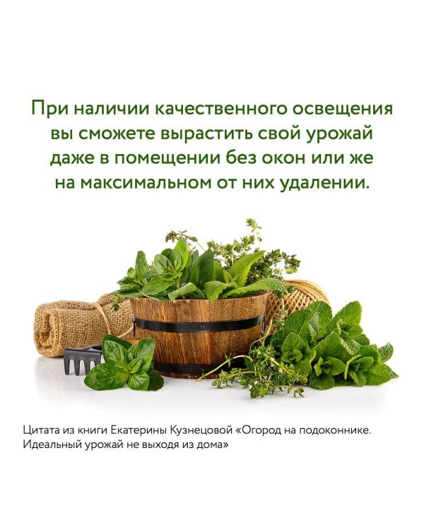 Огород на подоконнике. Идеальный урожай не выходя из дома