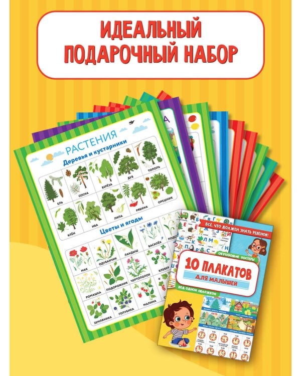 10 обучающих плакатов для малышей под одной обложкой