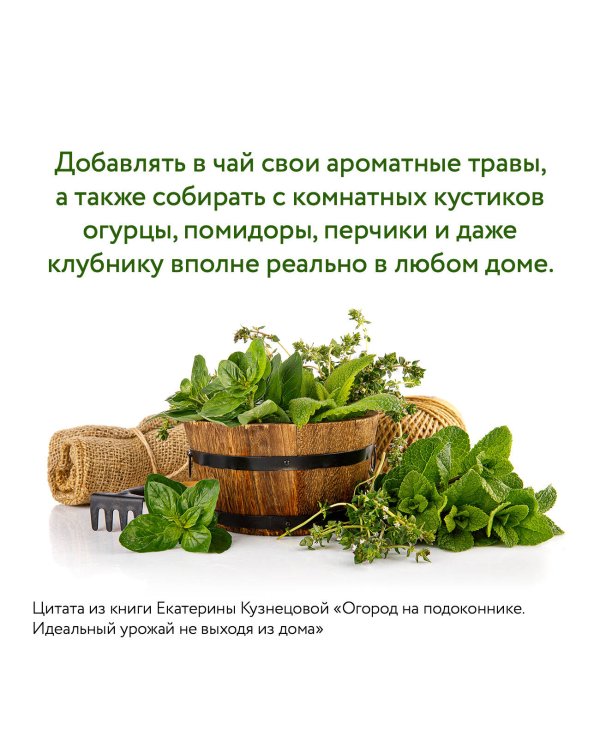 Огород на подоконнике. Идеальный урожай не выходя из дома