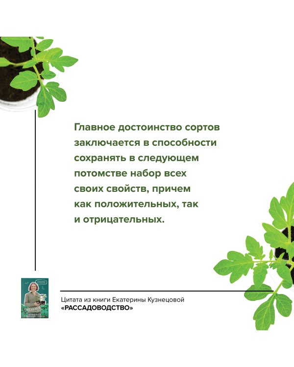 Рассадоводство. Первые шаги к здоровому урожаю