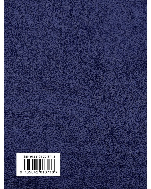 Святое Евангелие (с ил.) (с грифом РПЦ)