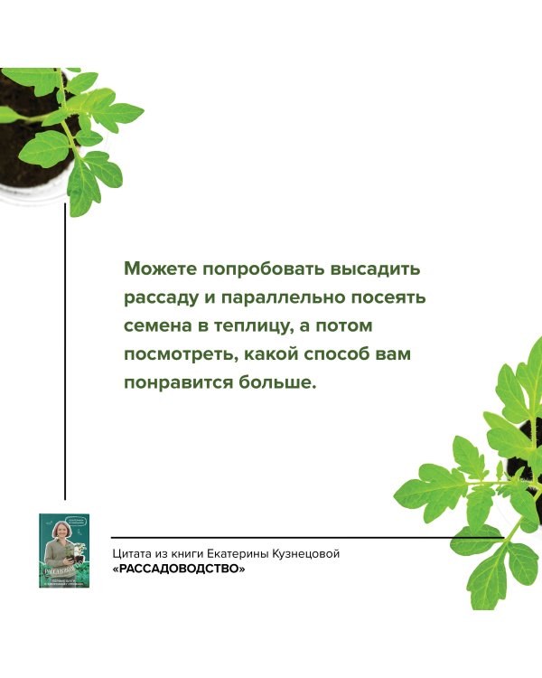 Рассадоводство. Первые шаги к здоровому урожаю
