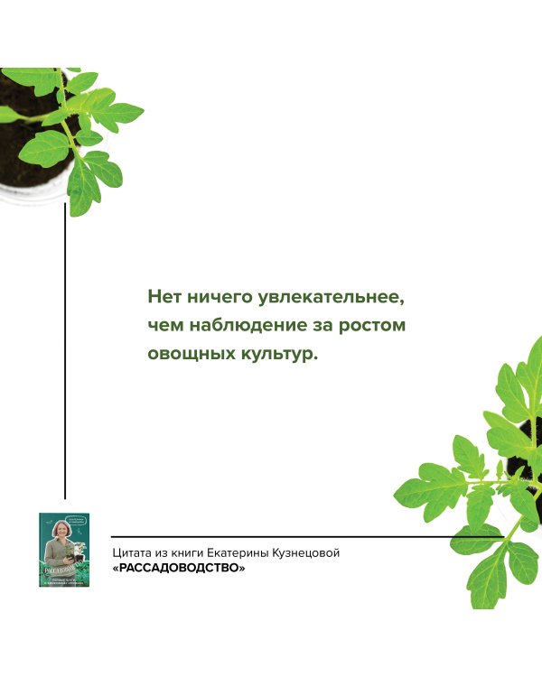 Рассадоводство. Первые шаги к здоровому урожаю