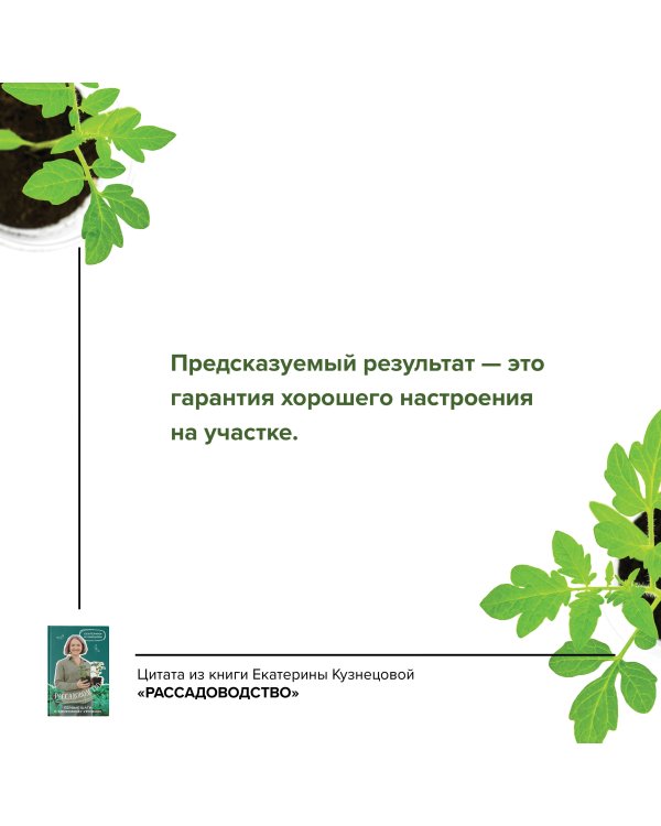 Рассадоводство. Первые шаги к здоровому урожаю