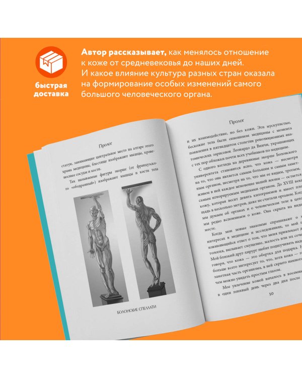 Кожа. Орган, в котором я живу