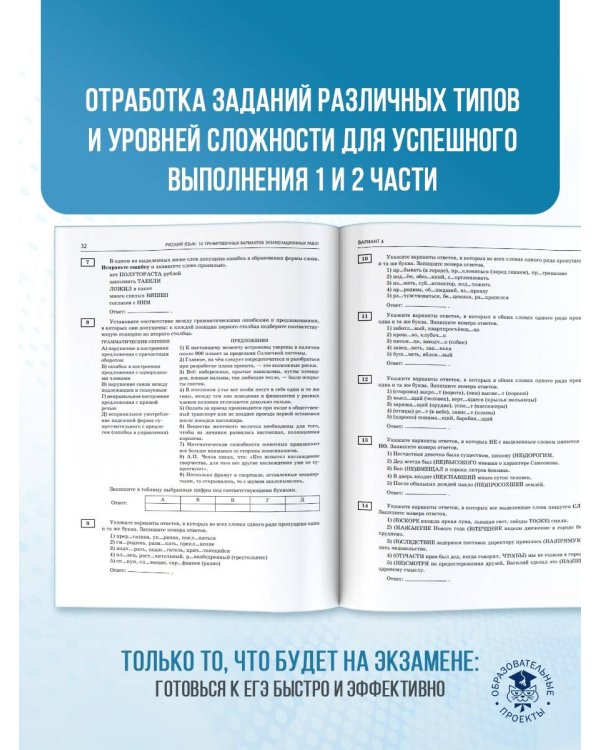 ЕГЭ-2025. Русский язык. 10 тренировочных вариантов экзаменационных работ для подготовки к ЕГЭ