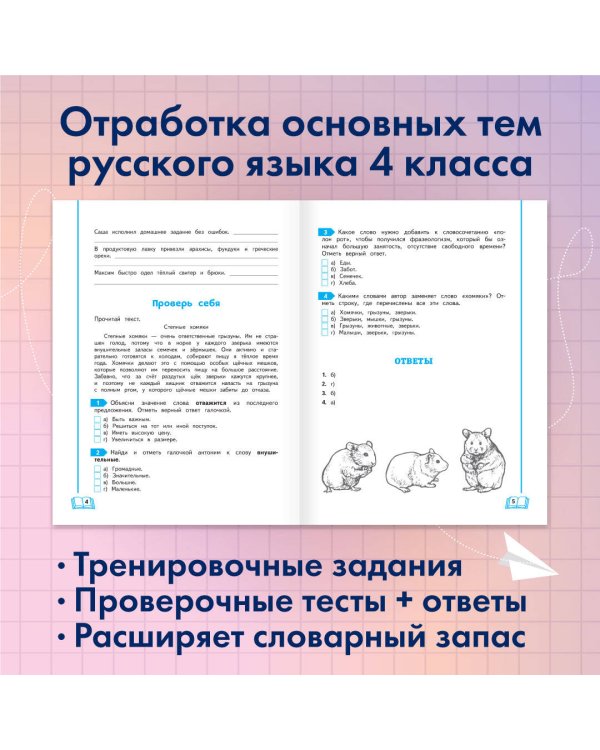 Учимся писать грамотно. 4 класс