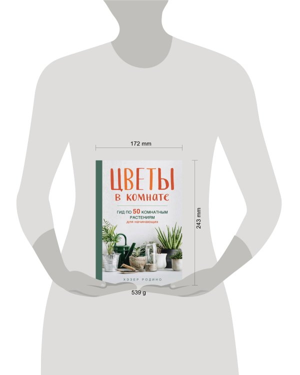 Цветы в комнате. Гид по 50 комнатным растениям для начинающих