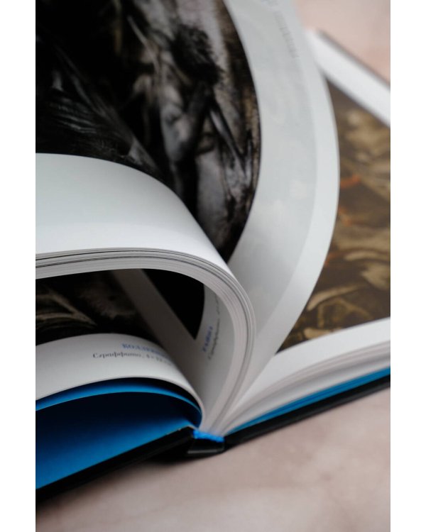 MATERIA OSCURA. Темная материя