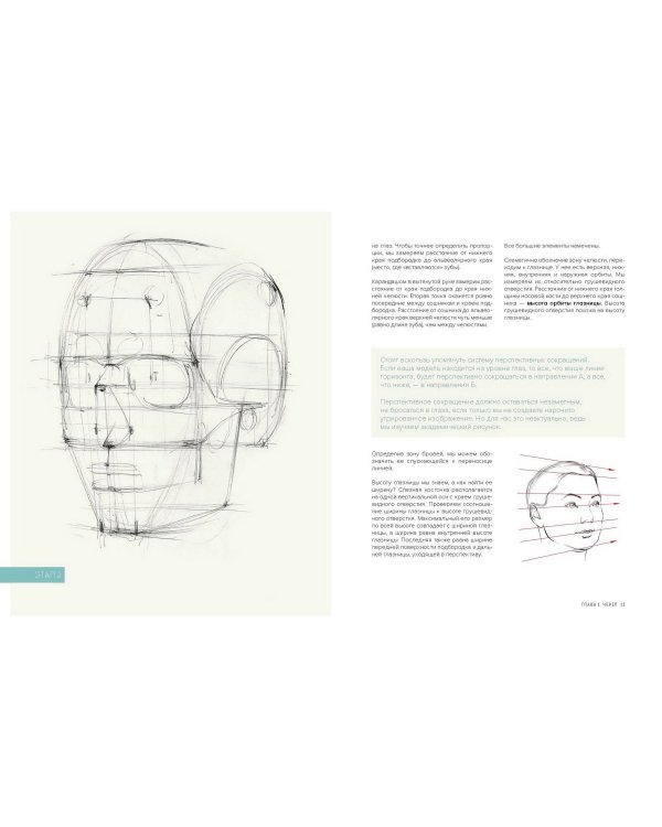 Голова человека: как рисовать. Авторская методика из 6 этапов