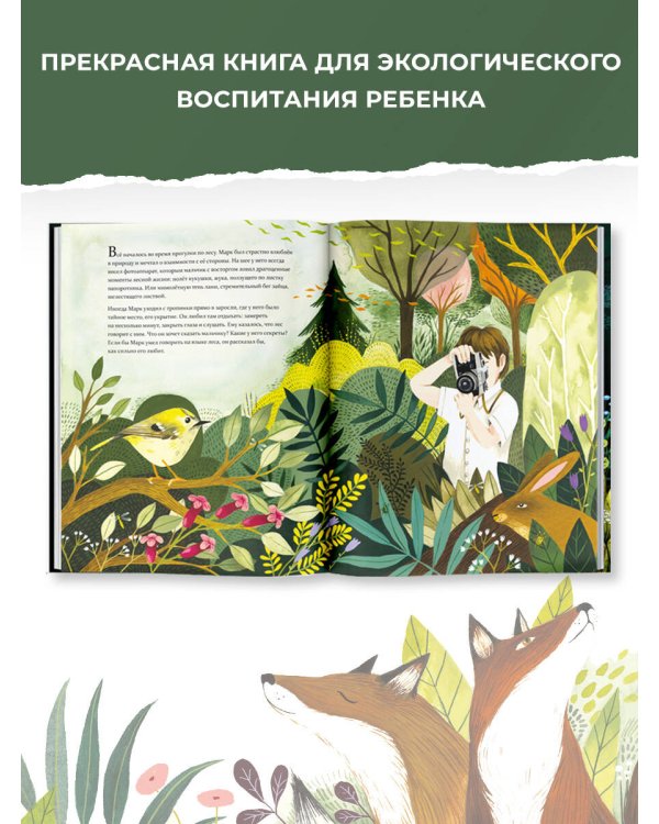 Лисёнок возвращается домой