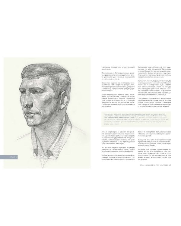 Голова человека: как рисовать. Авторская методика из 6 этапов