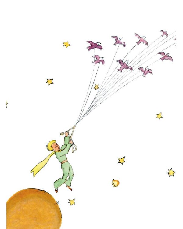 Маленький принц (рис. автора)