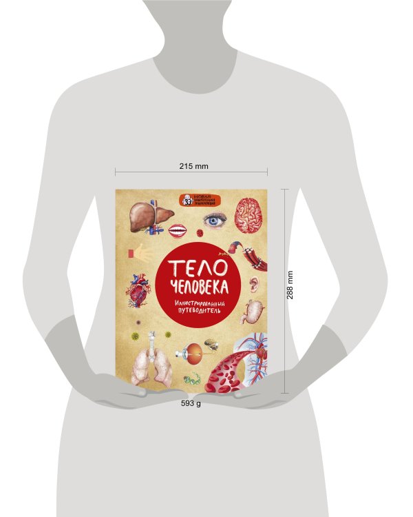 Тело человека