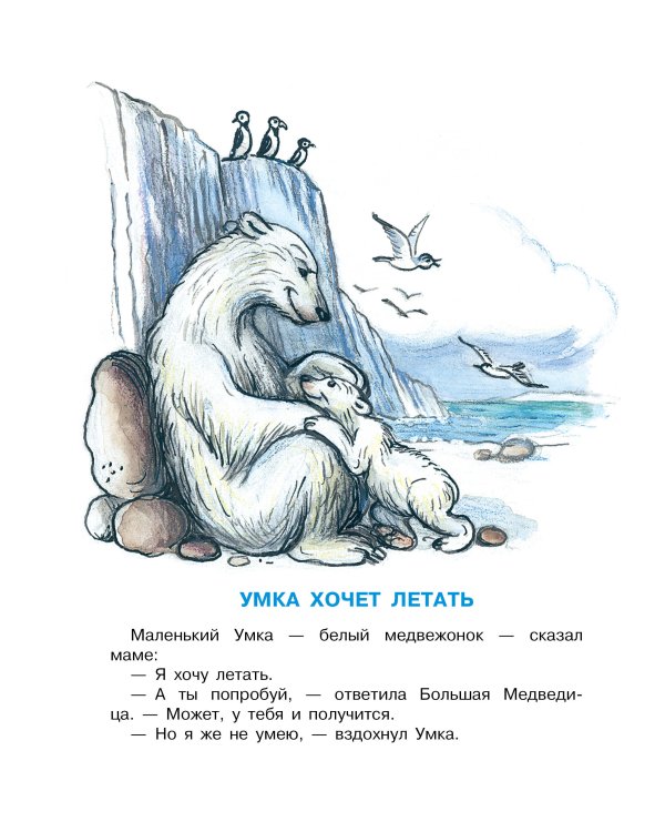 Умка хочет летать. Рисунки В.Сутеева