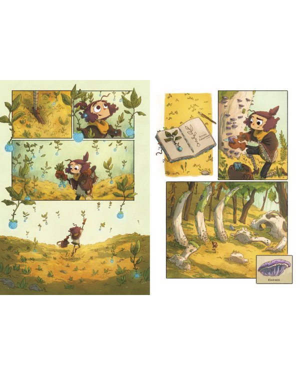 Светоморье. Последние лучи солнца