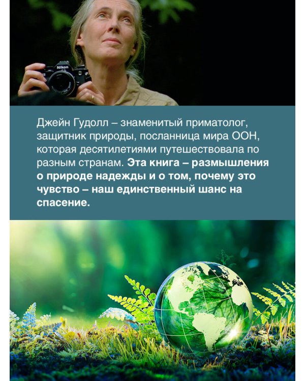 Сила надежды. Руководство по выживанию в трудные времена