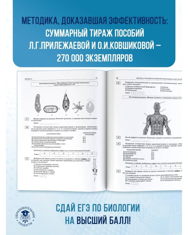 ЕГЭ-2025. Биология. 30 тренировочных вариантов экзаменационных работ для подготовки к единому государственному экзамену
