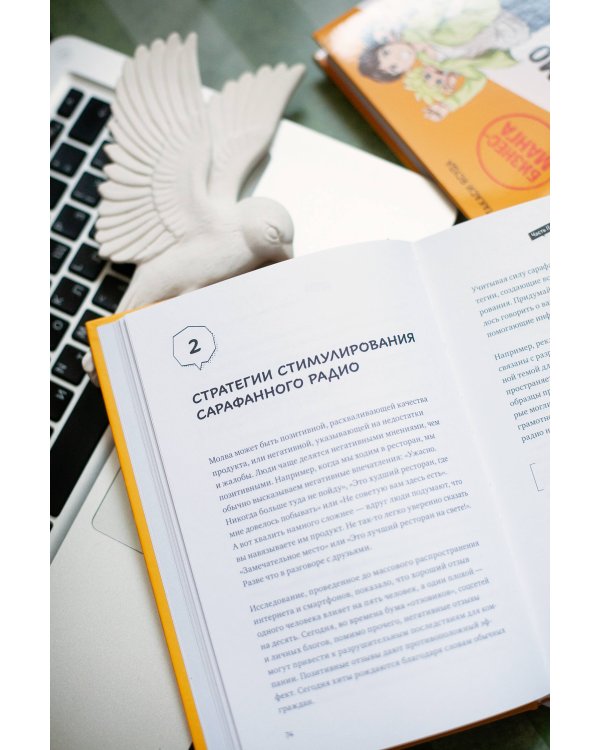 Маримо хочет спасти бизнес. Как маркетинг помогает понимать клиентов, обходить конкурентов и вести компанию к процветанию