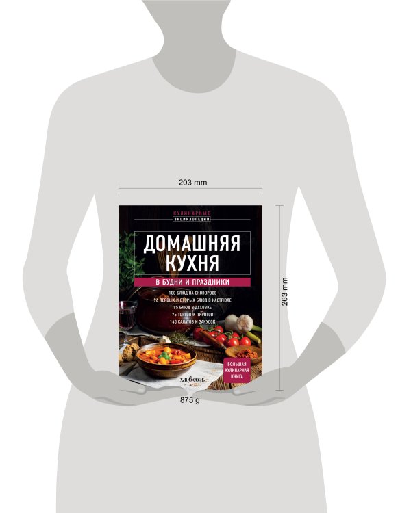 Домашняя кухня. В будни и праздники. Большая книга рецептов