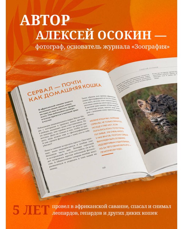 Мир диких животных без мифов. Невероятные фото-истории о жизни хищников саванны