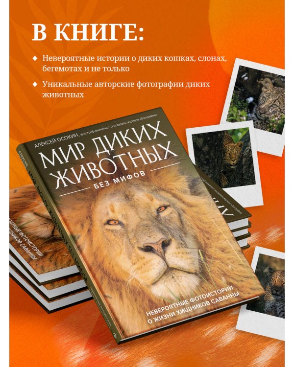 Мир диких животных без мифов. Невероятные фото-истории о жизни хищников саванны