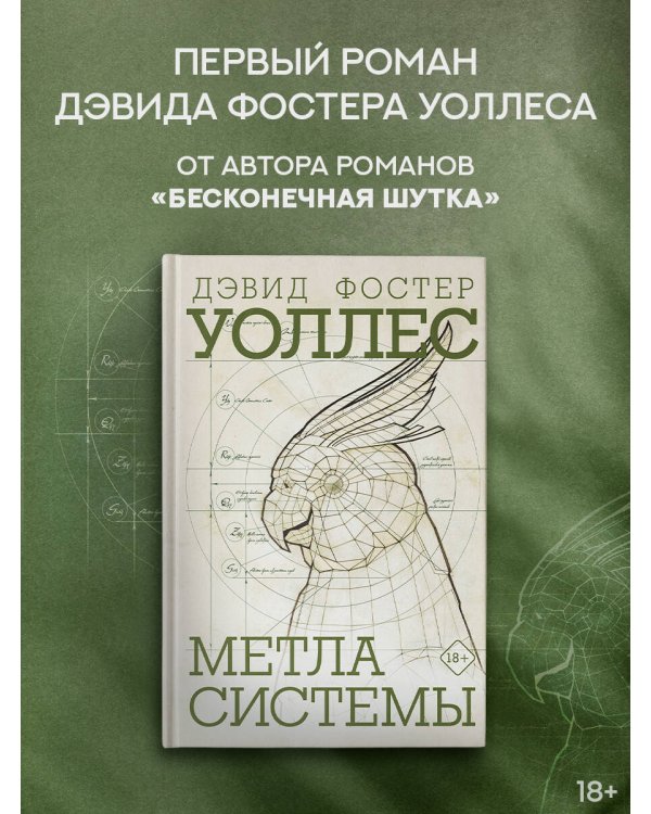 Метла системы