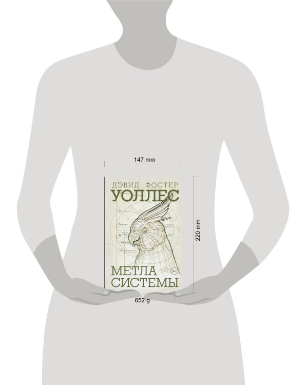 Метла системы