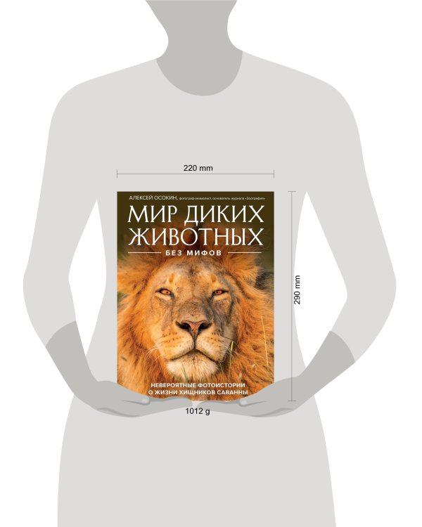 Мир диких животных без мифов. Невероятные фото-истории о жизни хищников саванны