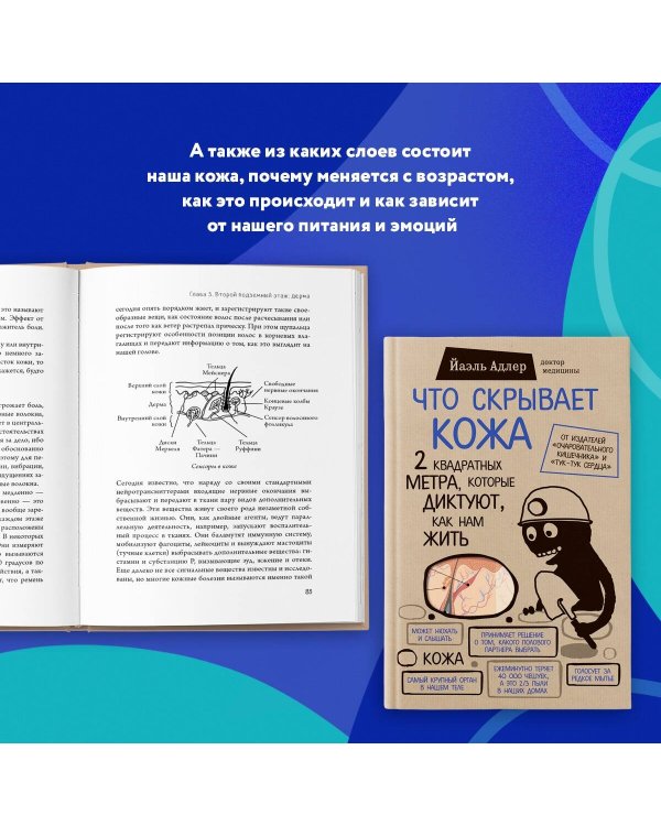 Что скрывает кожа. 2 квадратных метра, которые диктуют, как нам жить (БомбораТОП)