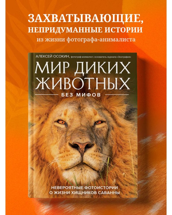 Мир диких животных без мифов. Невероятные фото-истории о жизни хищников саванны