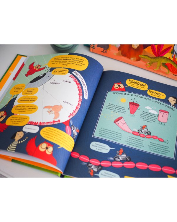 Твой мозг. Книга-экскурсия. Первое знакомство