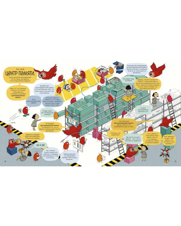 Твой мозг. Книга-экскурсия. Первое знакомство