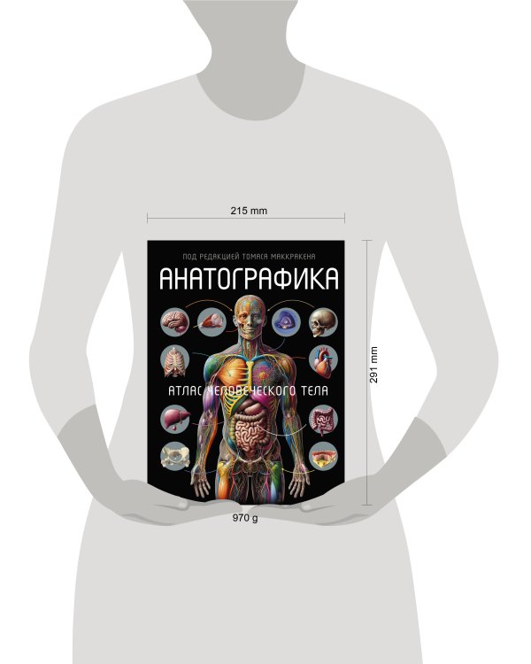 Анатографика. Атлас человеческого тела