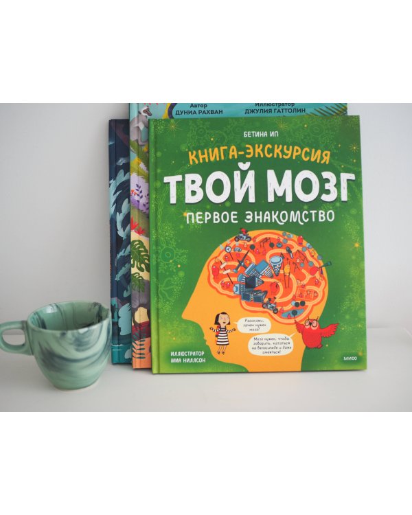 Твой мозг. Книга-экскурсия. Первое знакомство