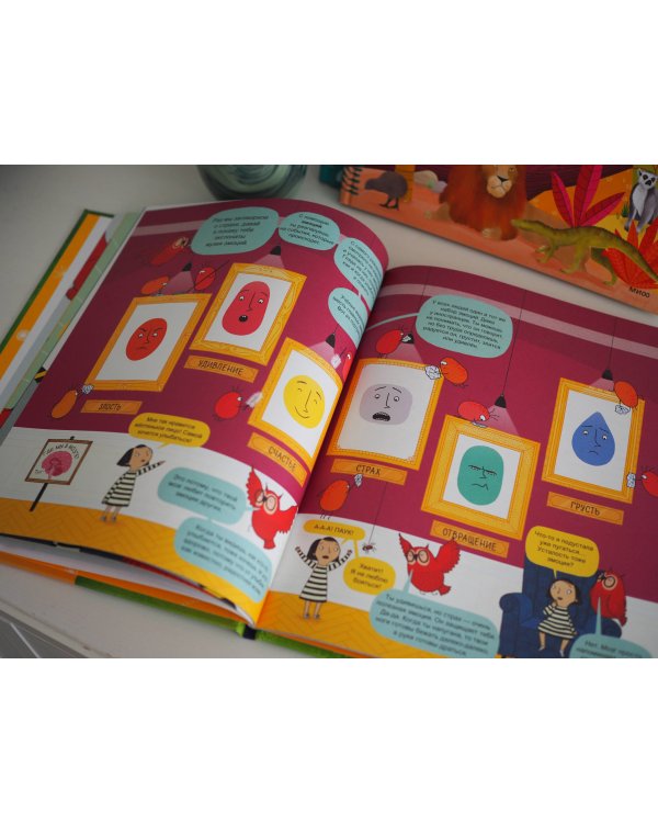 Твой мозг. Книга-экскурсия. Первое знакомство