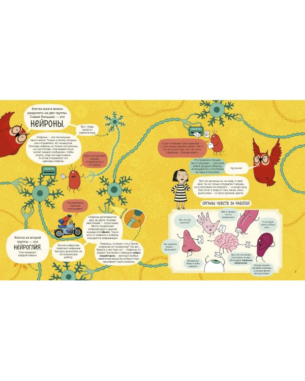 Твой мозг. Книга-экскурсия. Первое знакомство