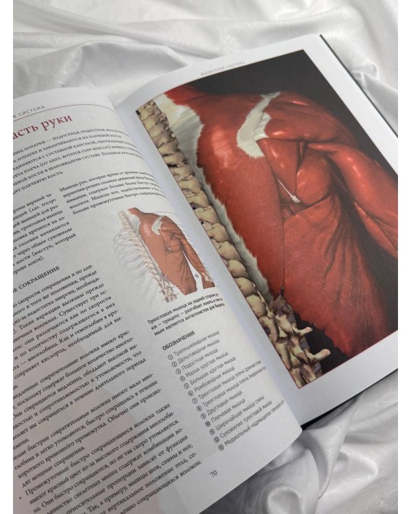 Анатографика. Атлас человеческого тела