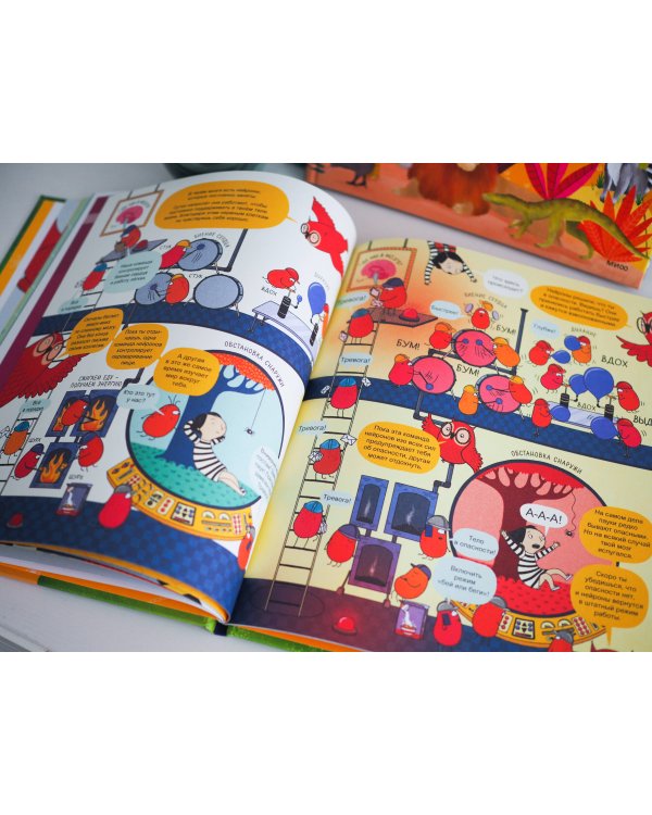 Твой мозг. Книга-экскурсия. Первое знакомство