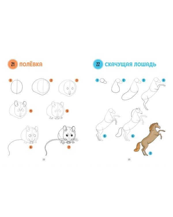 Большая книга животных. 300 рисунков шаг за шагом
