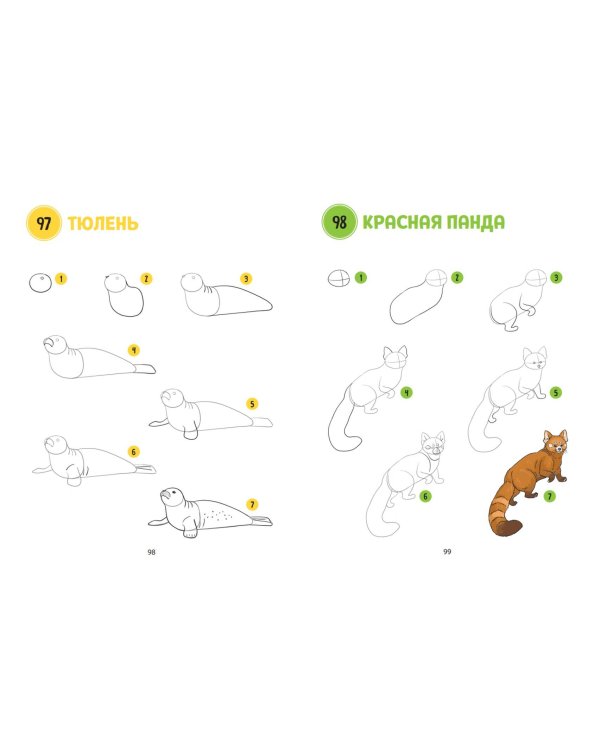 Большая книга животных. 300 рисунков шаг за шагом